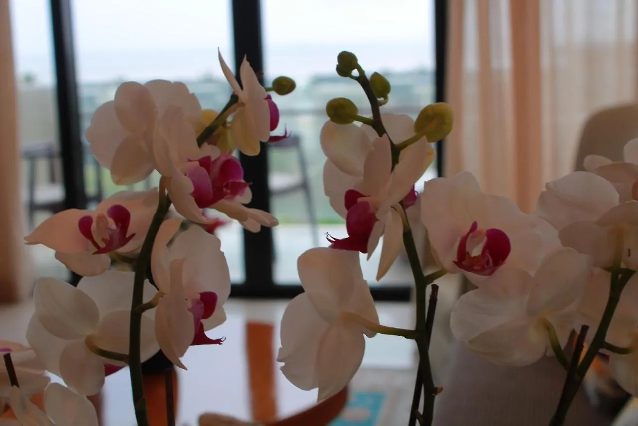 Villa Ocean View And Apartment Da Nang 